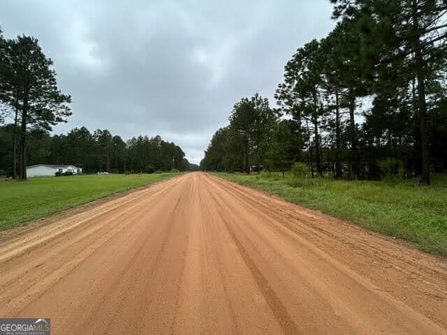 residential lot for sale at 165 Creekside Way, Metter, GA 30439 — photo 2