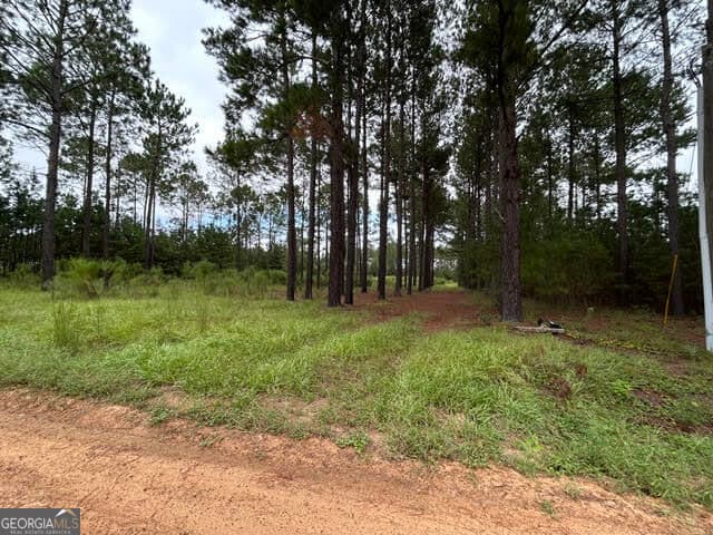 residential lot for sale at 165 Creekside Way, Metter, GA 30439 — photo 6