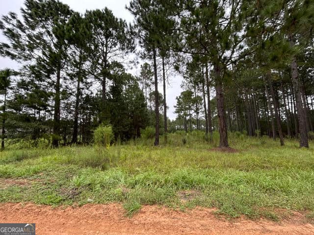 residential lot for sale at 165 Creekside Way, Metter, GA 30439 — photo 3