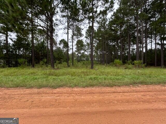 residential lot for sale at 165 Creekside Way, Metter, GA 30439 — photo 1 of 8