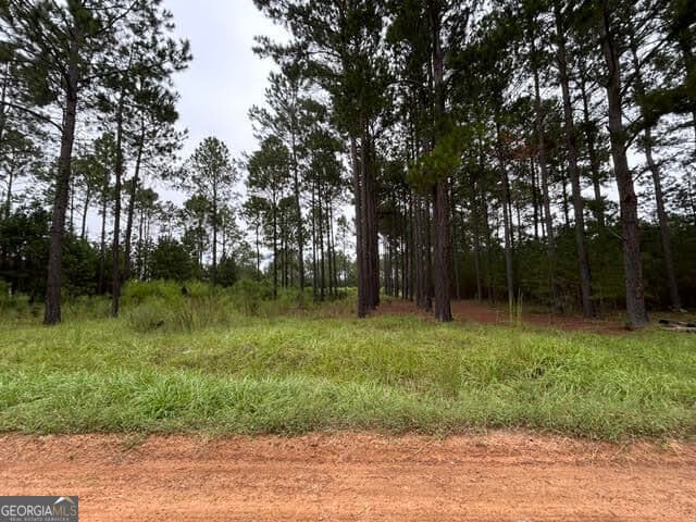 residential lot for sale at 165 Creekside Way, Metter, GA 30439 — photo 5