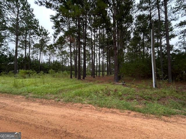 residential lot for sale at 165 Creekside Way, Metter, GA 30439 — photo 4