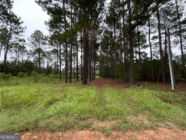 residential lot for sale at 165 Creekside Way, Metter, GA 30439 — photo 8