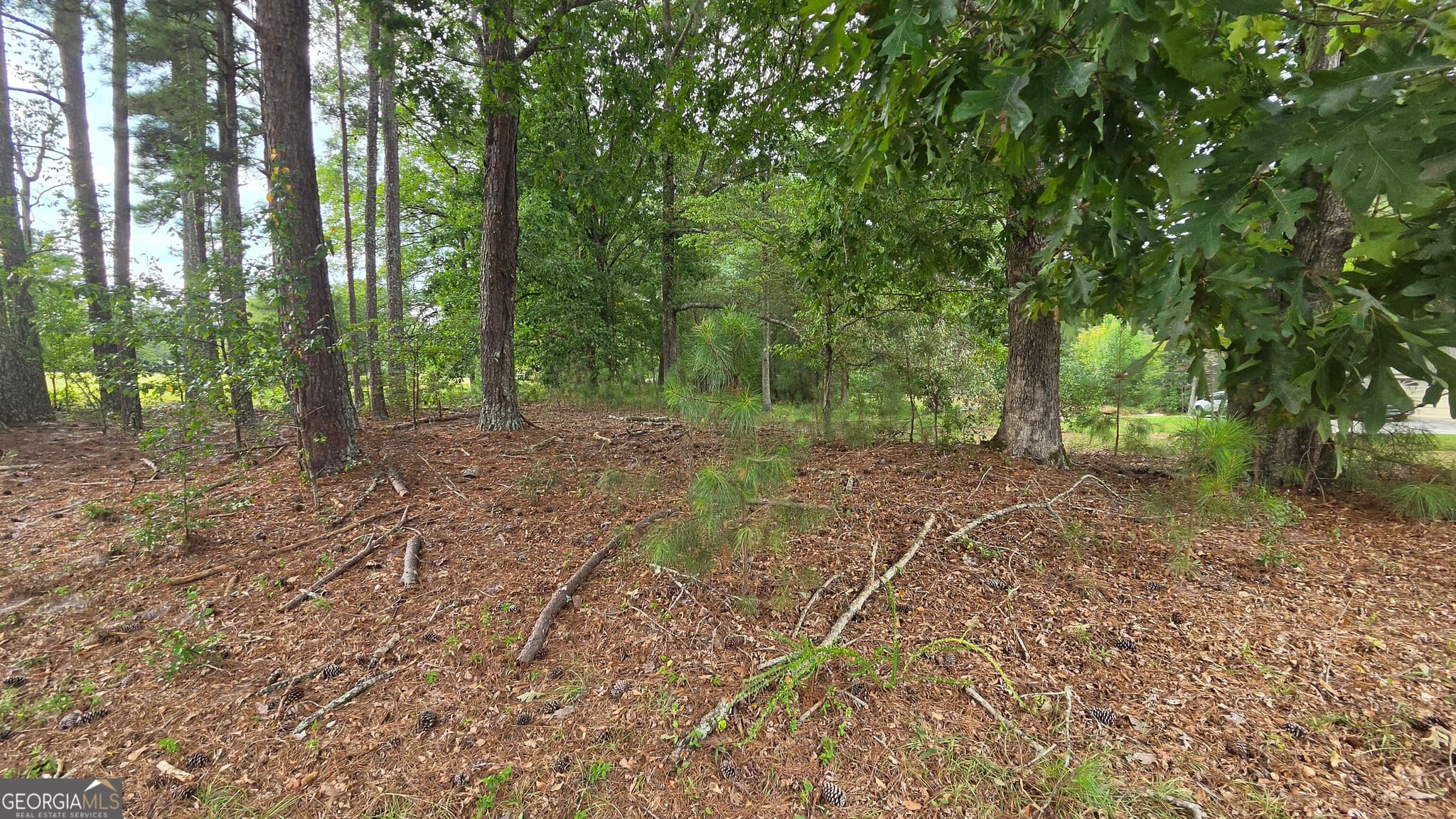 residential lot for sale at LOT 2 Ginger Cake Road, Fayetteville, GA 30214 — photo 6