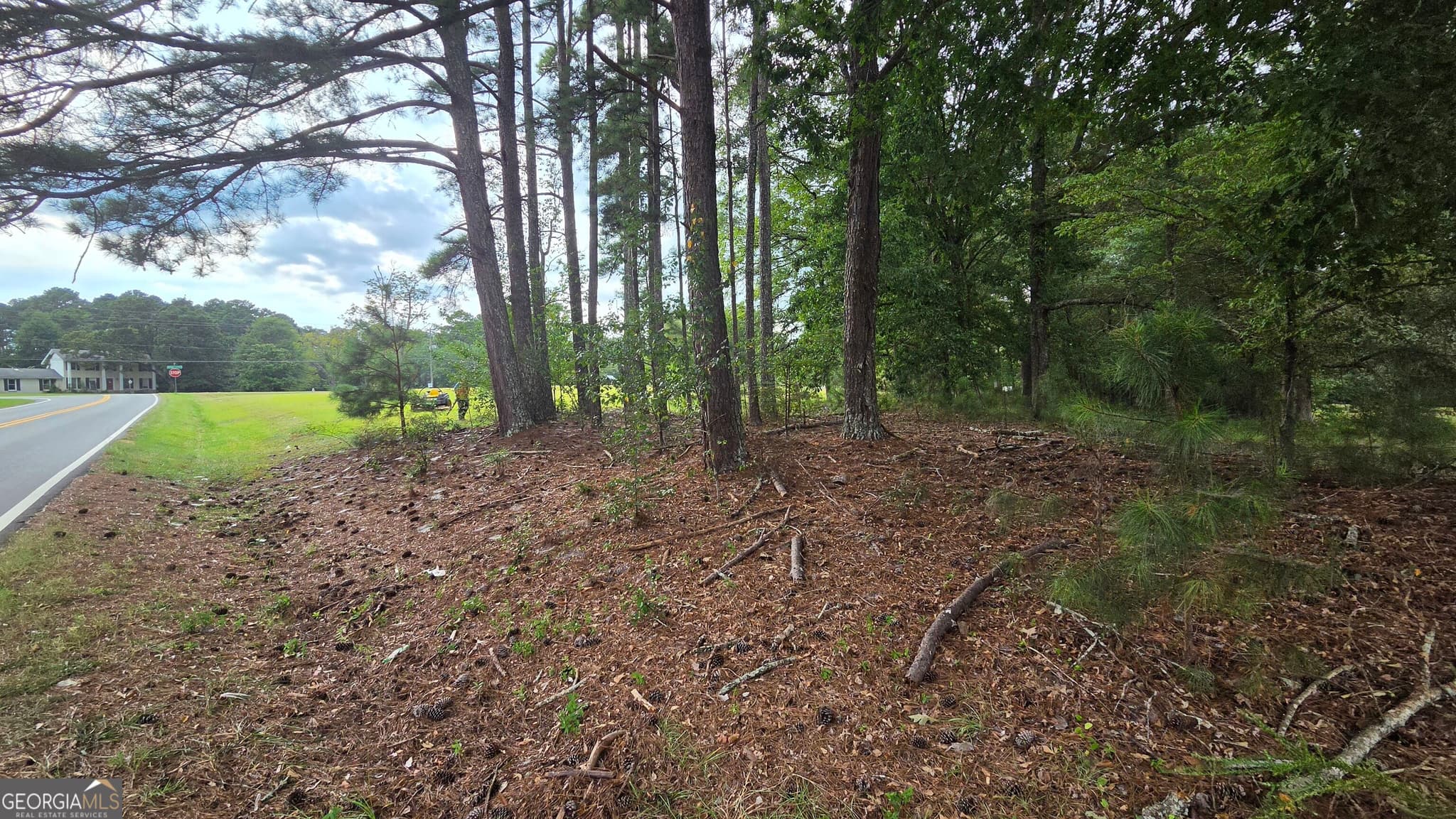 residential lot for sale at LOT 2 Ginger Cake Road, Fayetteville, GA 30214 — photo 7