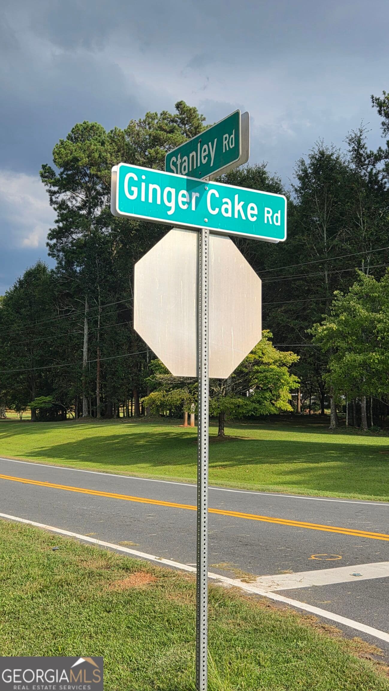 residential lot for sale at LOT 2 Ginger Cake Road, Fayetteville, GA 30214 — photo 3
