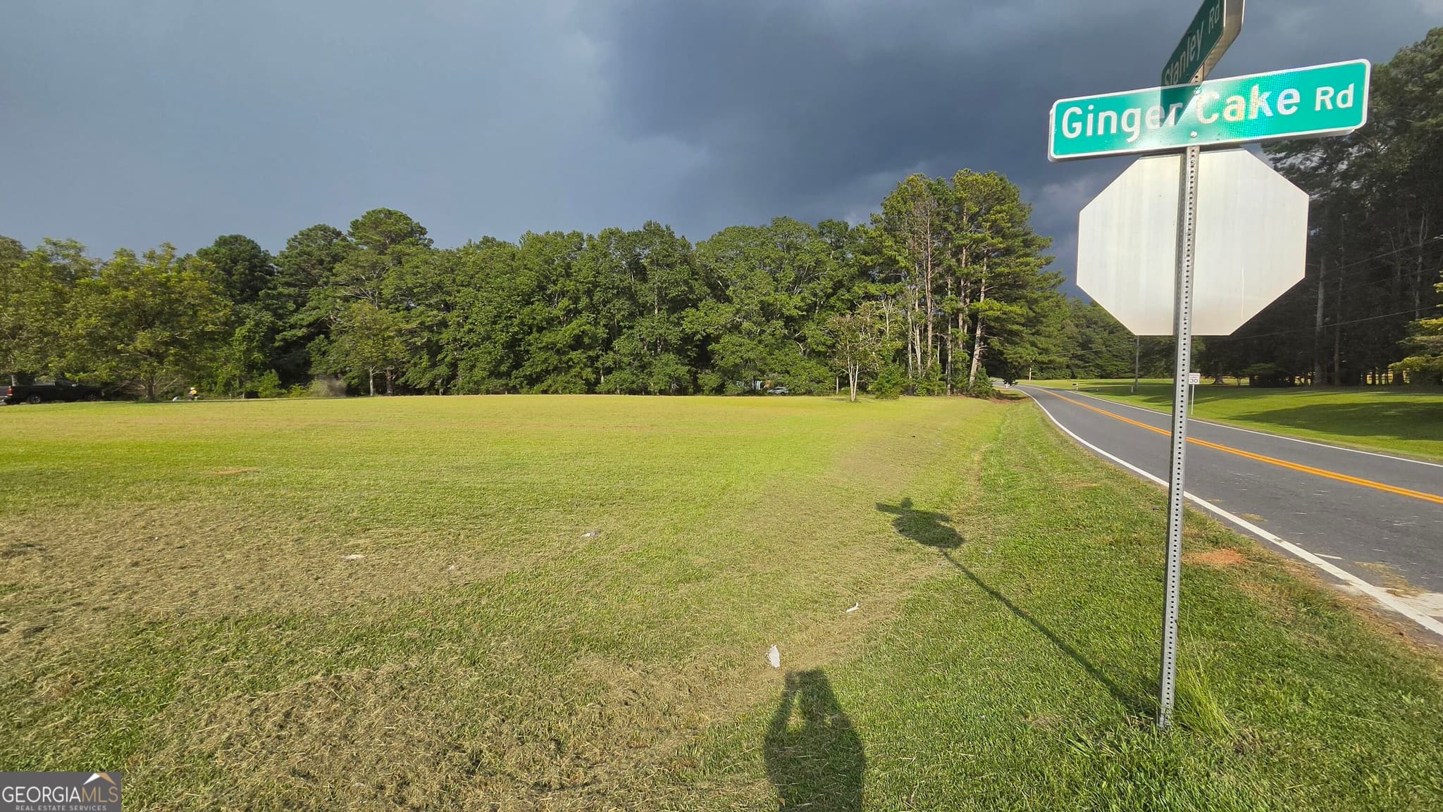 residential lot for sale at LOT 2 Ginger Cake Road, Fayetteville, GA 30214 — photo 5