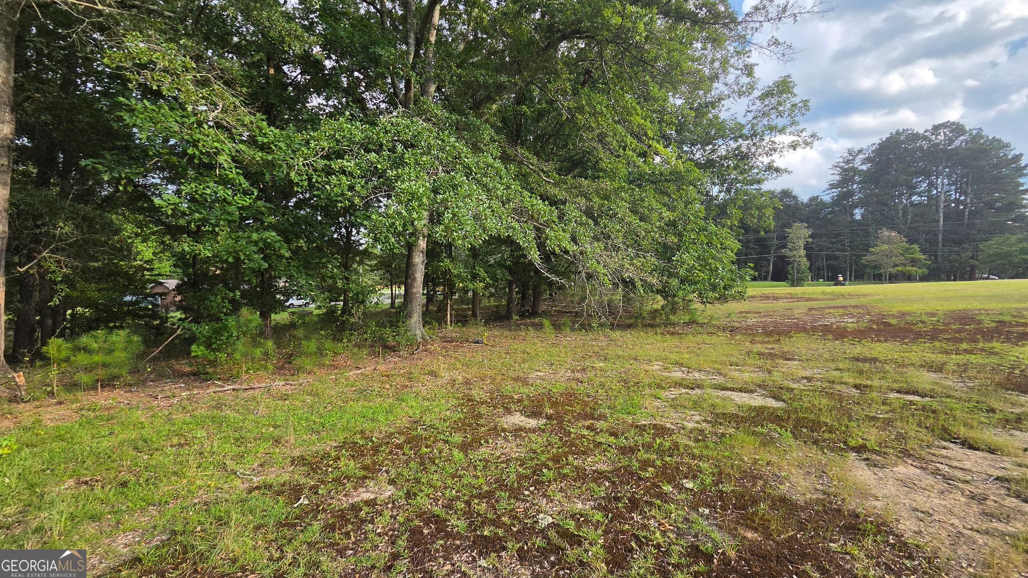 residential lot for sale at LOT 2 Ginger Cake Road, Fayetteville, GA 30214 — photo 10