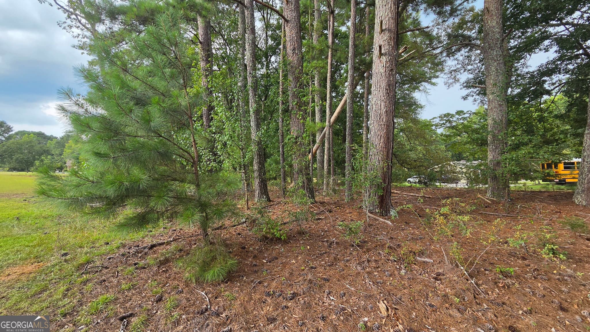 residential lot for sale at LOT 2 Ginger Cake Road, Fayetteville, GA 30214 — photo 8