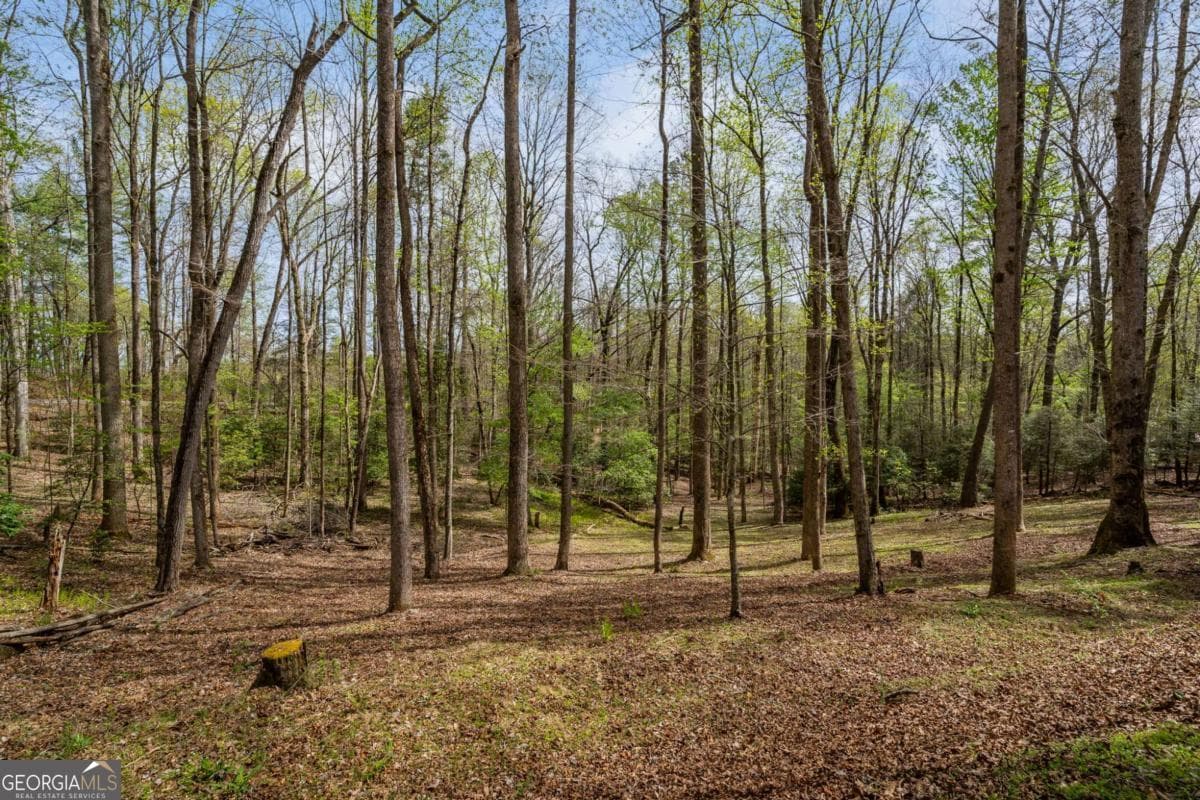 2 bedroom, 1 bathroom, 672 sq ft cabin,single family residence for sale at 159 Pack Creek Road, Blue Ridge, GA 30513 — photo 3