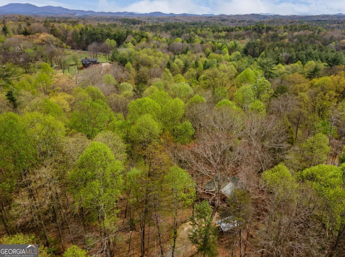2 bedroom, 1 bathroom, 672 sq ft cabin,single family residence for sale at 159 Pack Creek Road, Blue Ridge, GA 30513 — photo 10