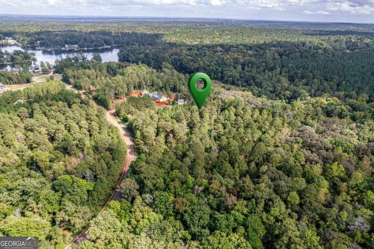 residential lot for sale at 777 Parham Road, Milledgeville, GA 31061 — photo 5