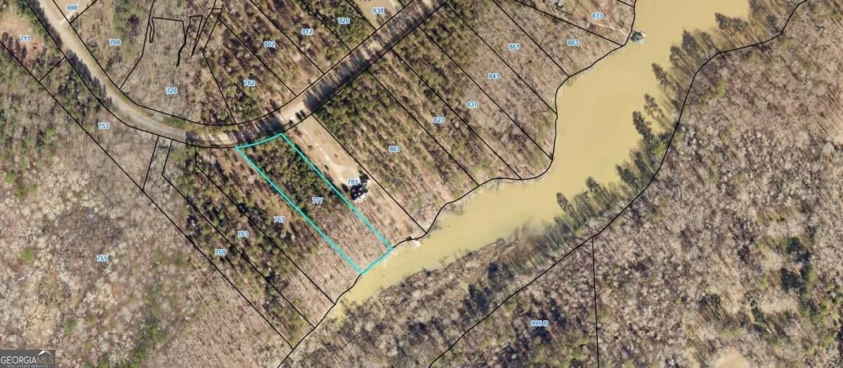 residential lot for sale at 777 Parham Road, Milledgeville, GA 31061 — photo 10