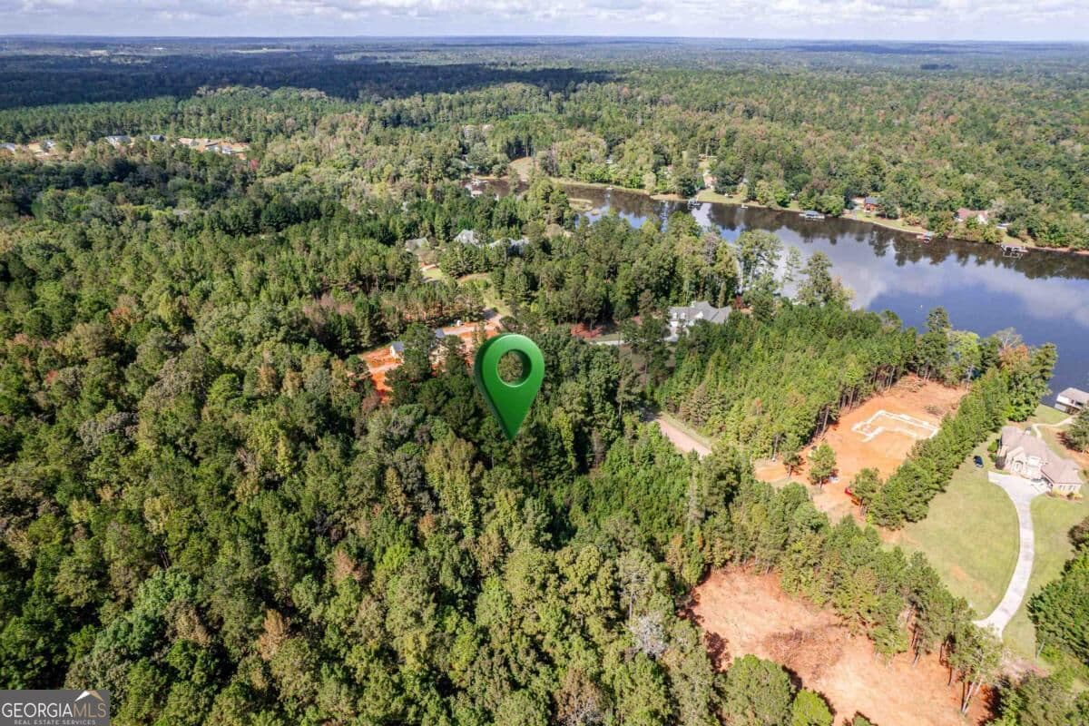 residential lot for sale at 777 Parham Road, Milledgeville, GA 31061 — photo 8