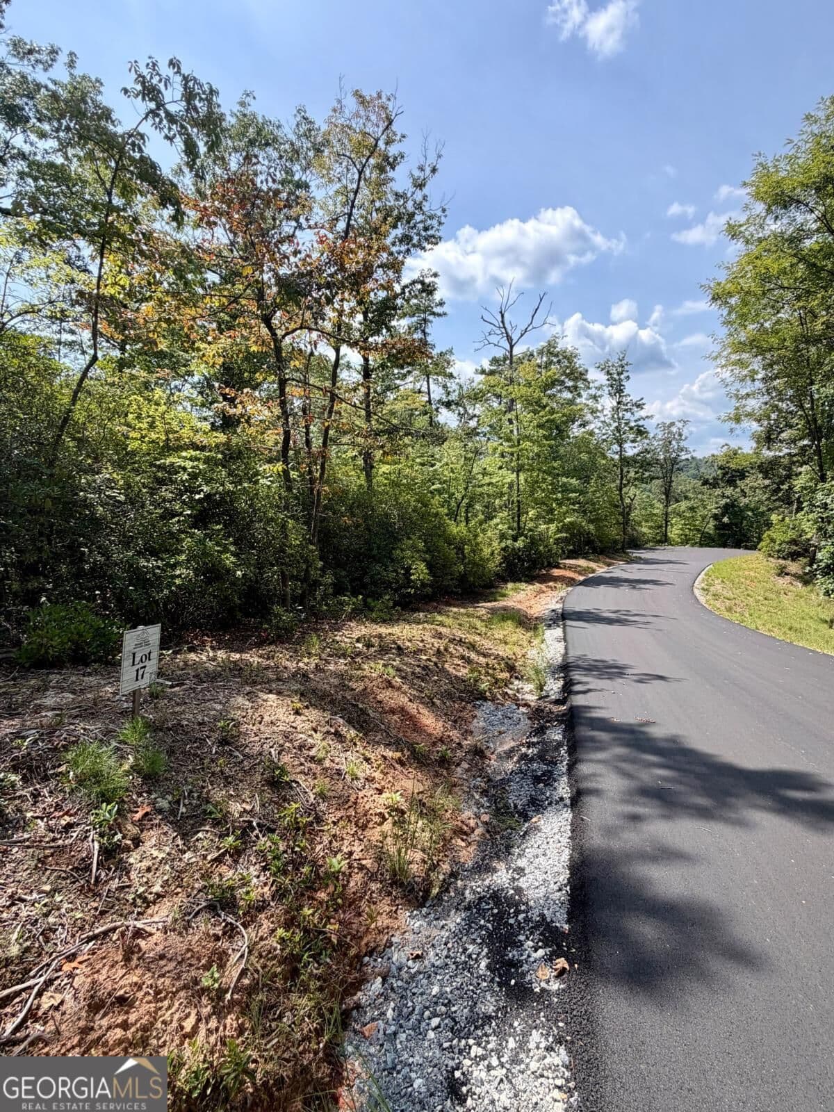 residential lot for sale at LOT 17 Turquoise Ridge, Blue Ridge, GA 30513 — photo 2