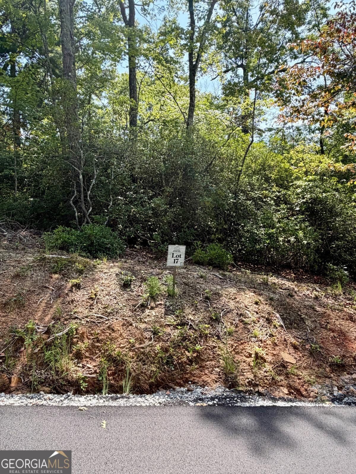 residential lot for sale at LOT 17 Turquoise Ridge, Blue Ridge, GA 30513 — photo 3