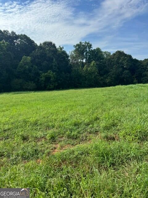 estate lot for sale at LOT #3 Rita Ridge, Jefferson, GA 30549 — photo 6