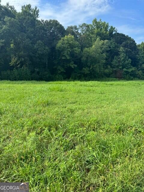 estate lot for sale at LOT #3 Rita Ridge, Jefferson, GA 30549 — photo 5