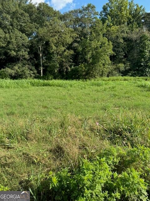 estate lot for sale at LOT #3 Rita Ridge, Jefferson, GA 30549 — photo 4