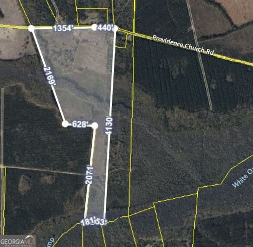 agriculture sold at 76 ACRES Providence Church Road, White Oak, GA 31568