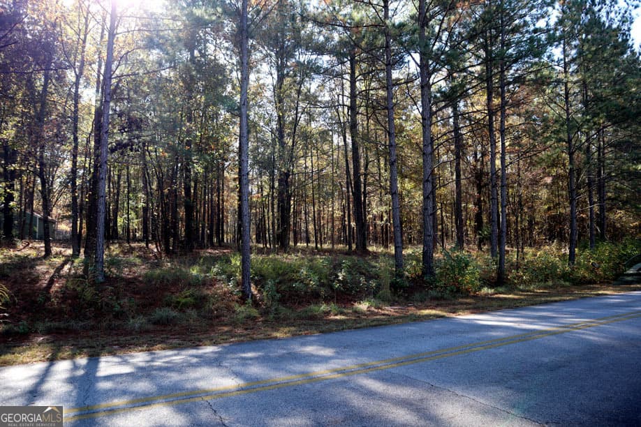 residential lot for sale at 1438 Jamesway Drive, Sparta, GA 31087 — photo 6