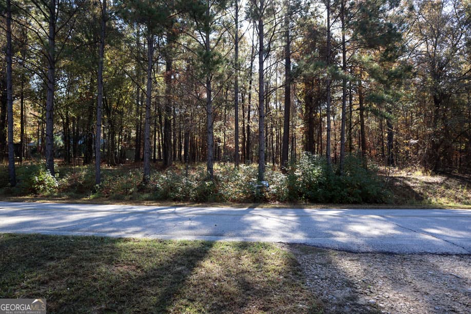 residential lot for sale at 1438 Jamesway Drive, Sparta, GA 31087 — photo 7