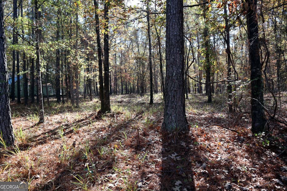 residential lot for sale at 1438 Jamesway Drive, Sparta, GA 31087 — photo 5