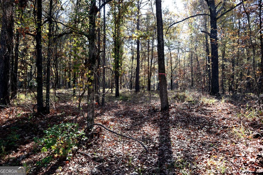 residential lot for sale at 1438 Jamesway Drive, Sparta, GA 31087 — photo 4