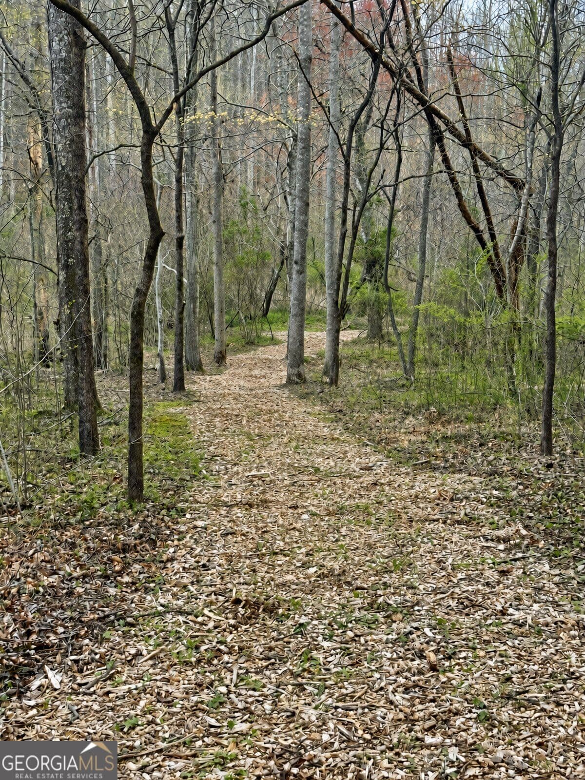 residential lot for sale at LOT 26 Prospect Ridge, Blue Ridge, GA 30513 — photo 6