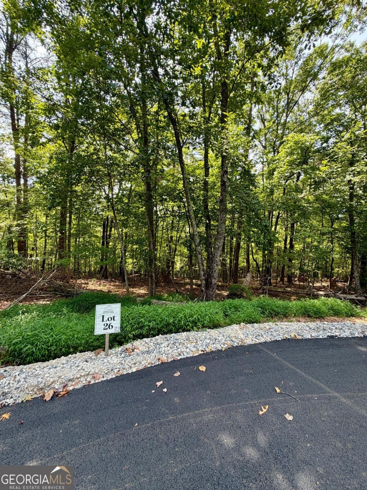 residential lot for sale at LOT 26 Prospect Ridge, Blue Ridge, GA 30513 — photo 1 of 23