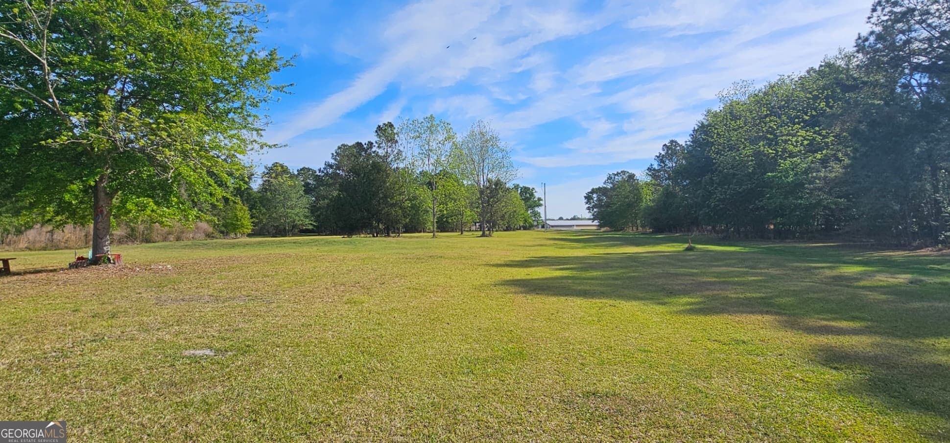 4 bedroom, 3 bathroom, 3,496 sq ft farm for sale at 13637 HWY 23, Glennville, GA 30427 — photo 4