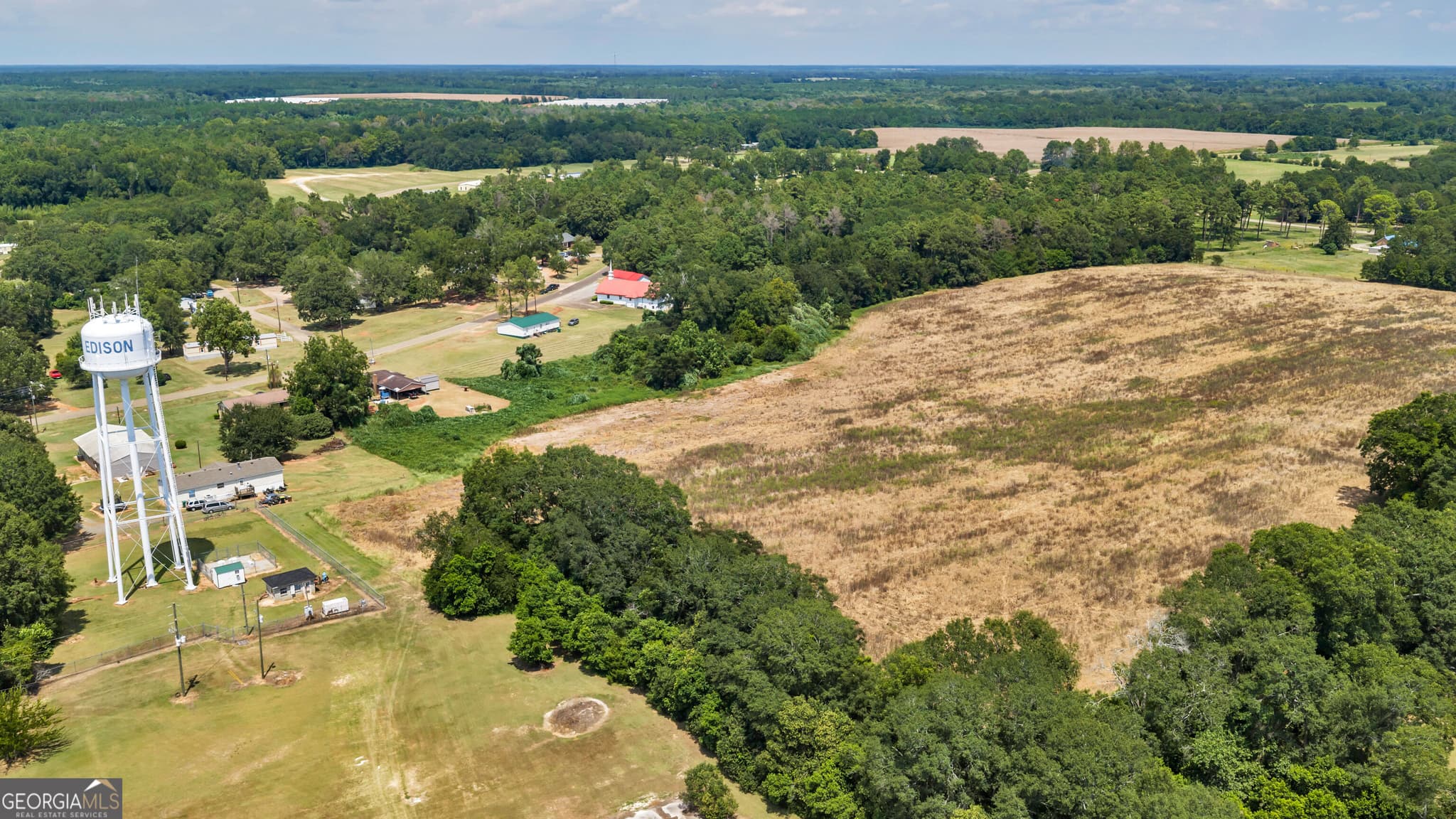 agriculture under contract at 0 Manry Street, Edison, GA 39846 — photo 10