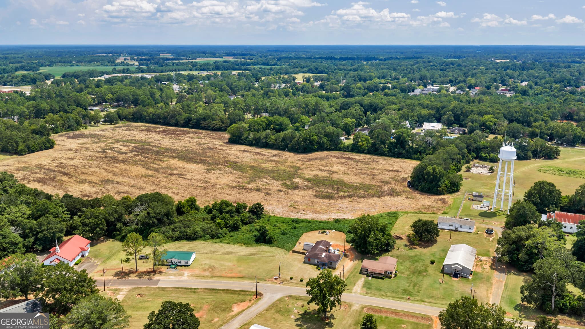 agriculture under contract at 0 Manry Street, Edison, GA 39846 — photo 8