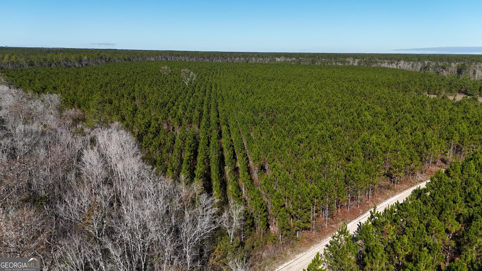agriculture sold at 29 AC Owens Road, Odum, GA 31555