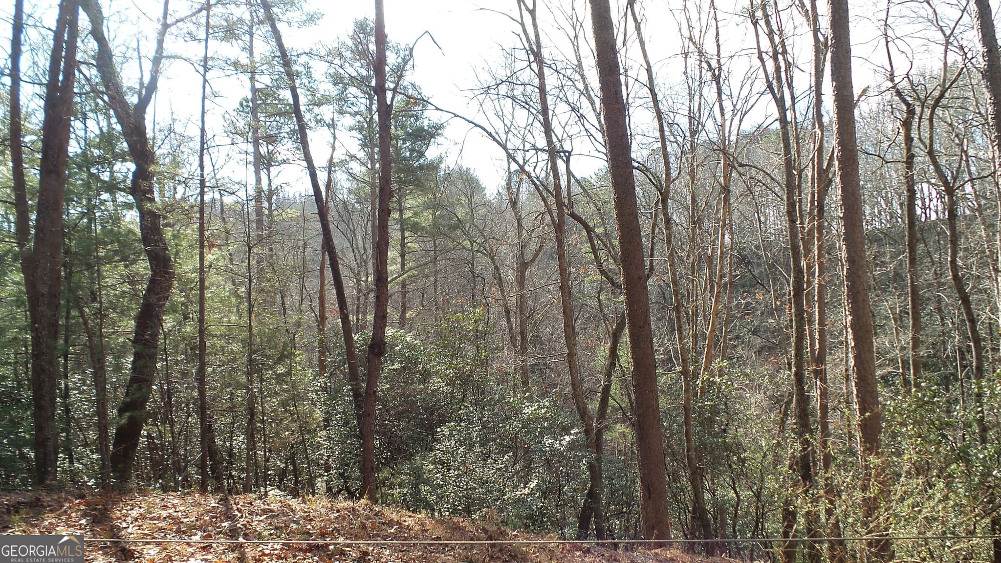 residential lot for sale at 0 Bahn Innsbruck, Helen, GA 30545 — photo 6