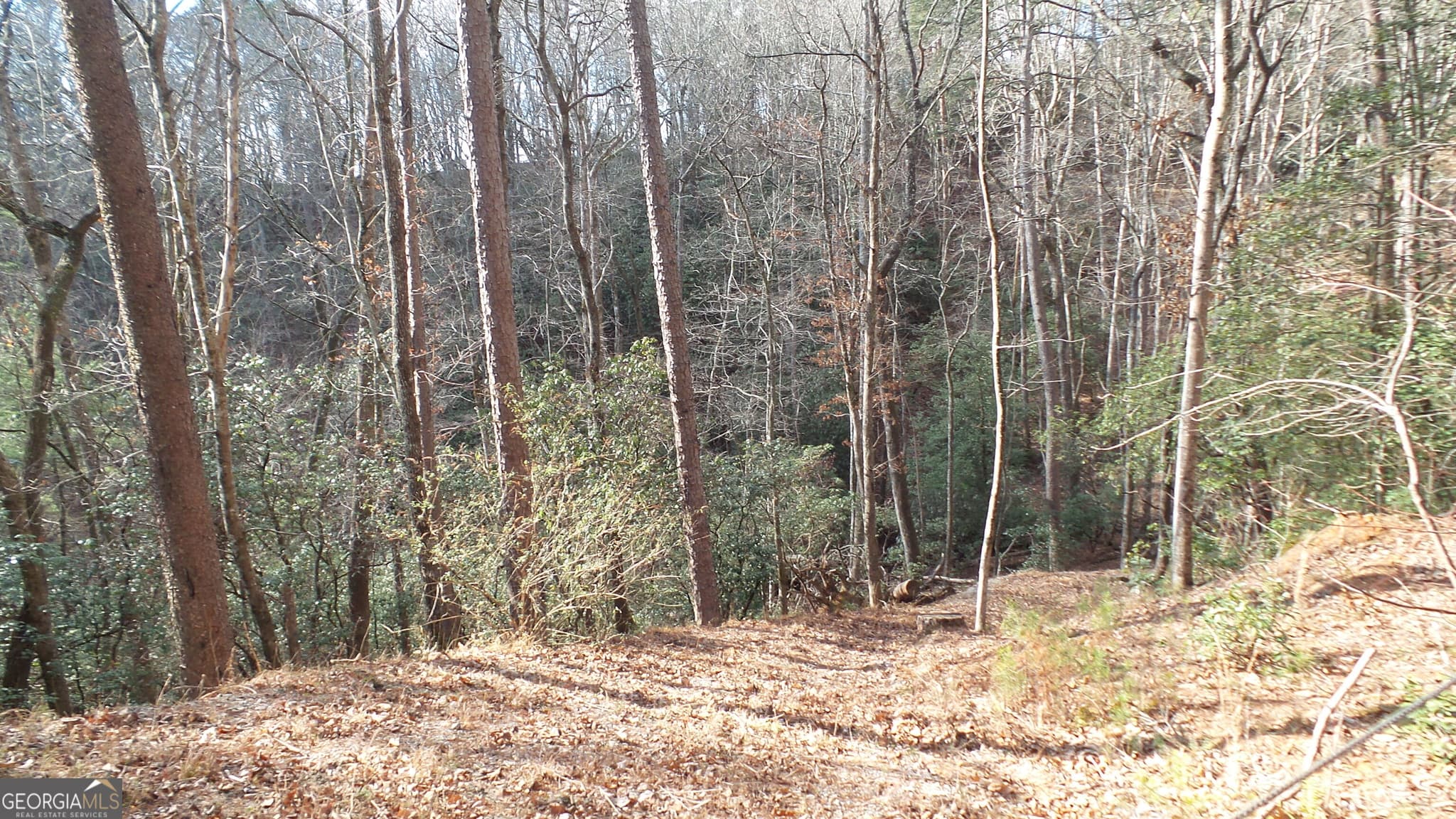 residential lot for sale at 0 Bahn Innsbruck, Helen, GA 30545 — photo 7