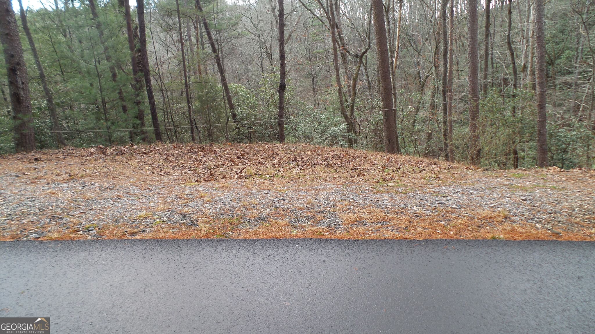 residential lot for sale at 0 Bahn Innsbruck, Helen, GA 30545 — photo 1 of 36