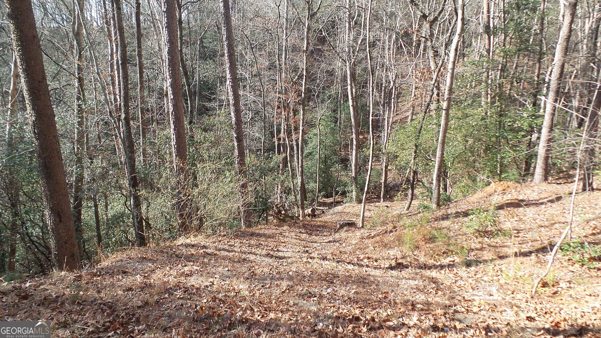 residential lot for sale at 0 Bahn Innsbruck, Helen, GA 30545 — photo 5