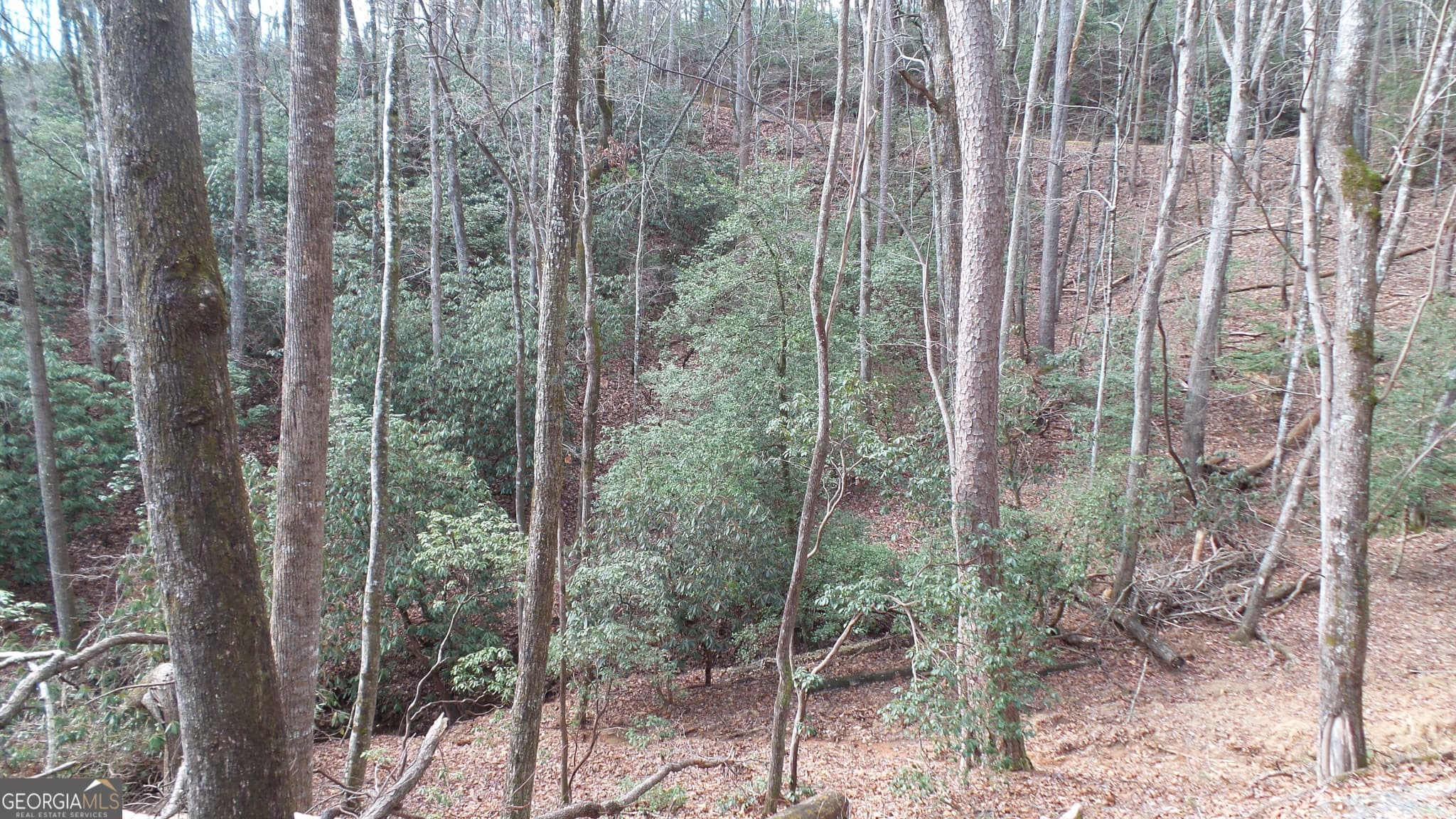 residential lot for sale at 0 Bahn Innsbruck, Helen, GA 30545 — photo 9