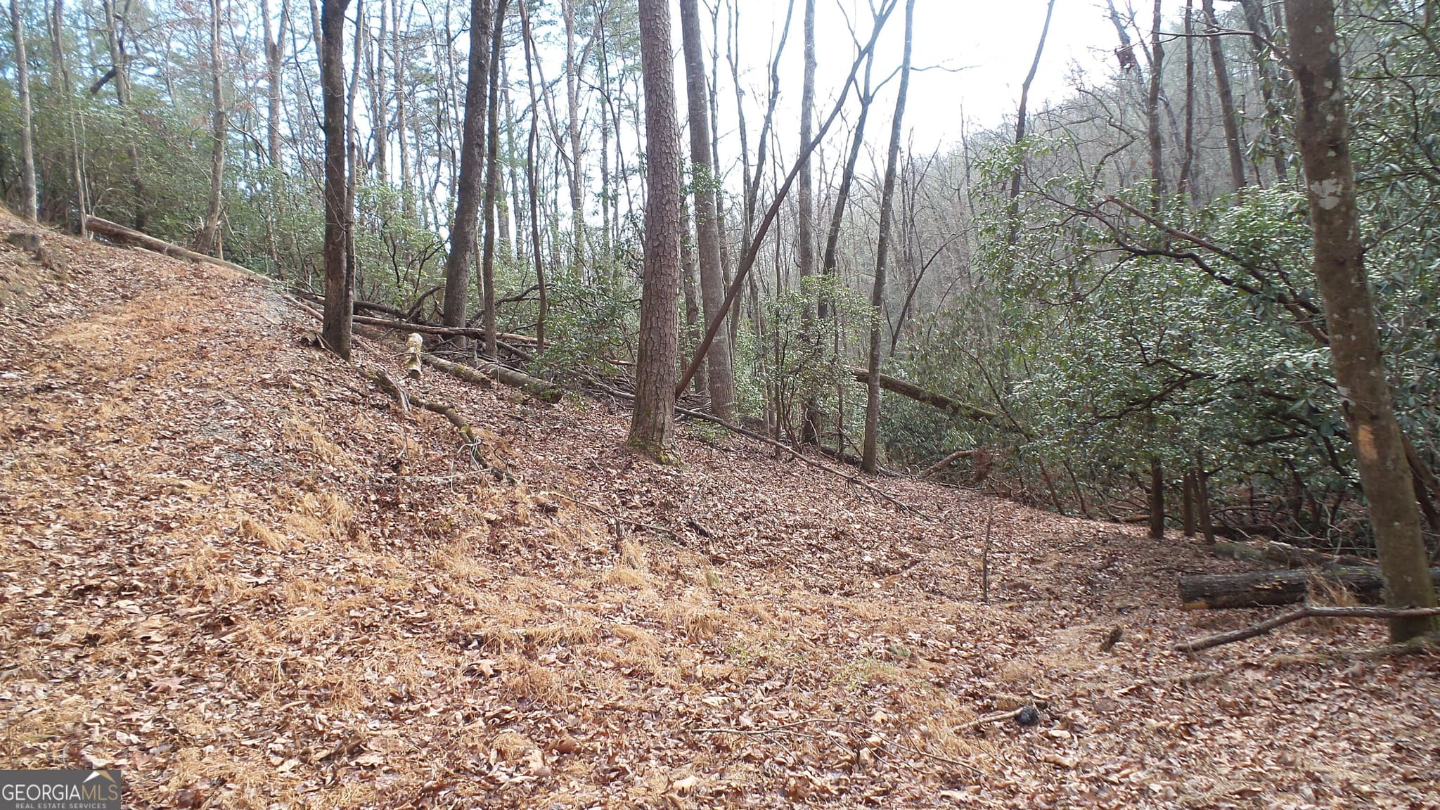 residential lot for sale at 0 Bahn Innsbruck, Helen, GA 30545 — photo 10