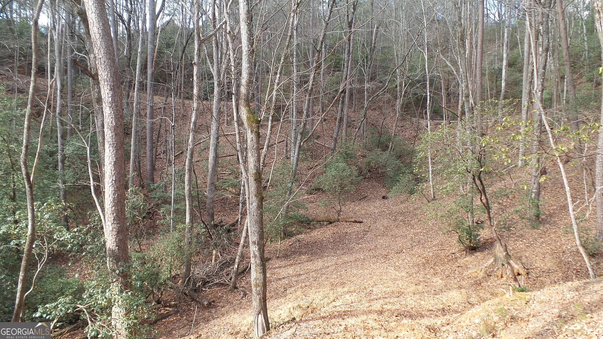 residential lot for sale at 0 Bahn Innsbruck, Helen, GA 30545 — photo 8