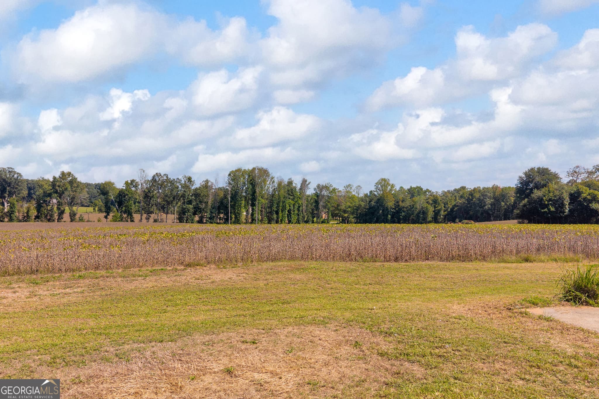 2 bedroom, 1 bathroom, 848 sq ft single family residence for sale at 1398 Mt Hebron Road, Hartwell, GA 30643 — photo 3