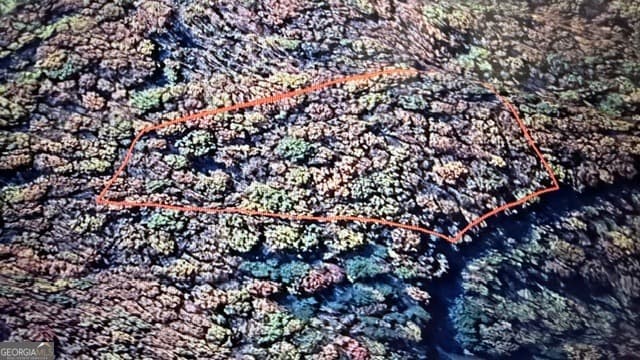 residential lot for sale at LOT 82 Baltusrol Run, Ellijay, GA 30536 — photo 4