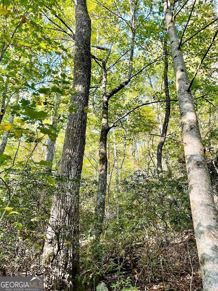 unimproved land for sale at 0 Blue Ridge Gap Road, Rabun Gap, GA 30568 — photo 2