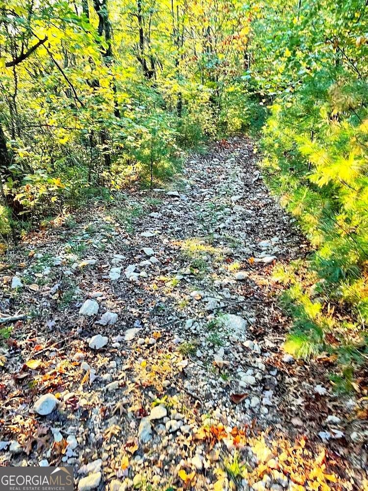 unimproved land for sale at 0 Blue Ridge Gap Road, Rabun Gap, GA 30568 — photo 6