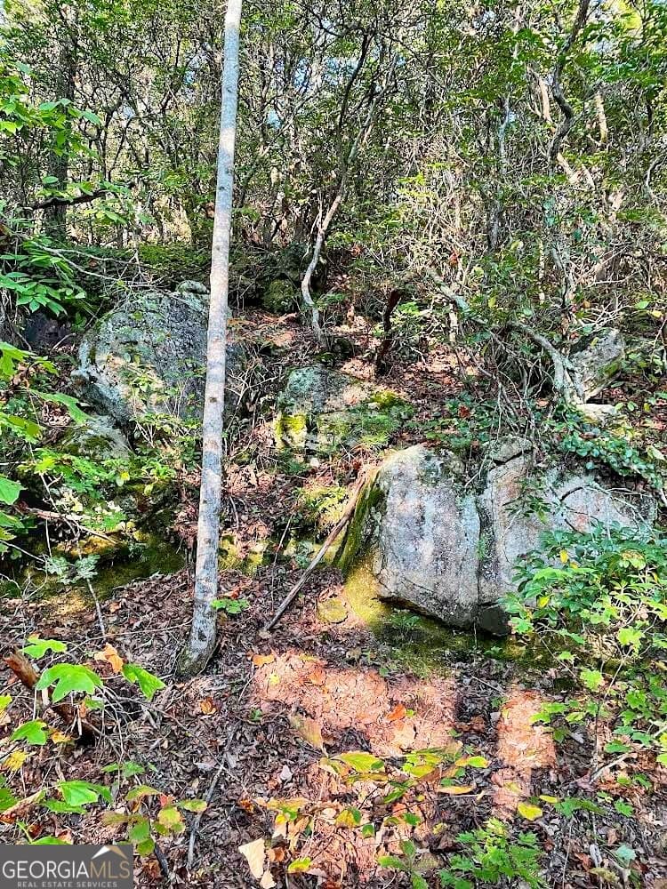 unimproved land for sale at 0 Blue Ridge Gap Road, Rabun Gap, GA 30568 — photo 7