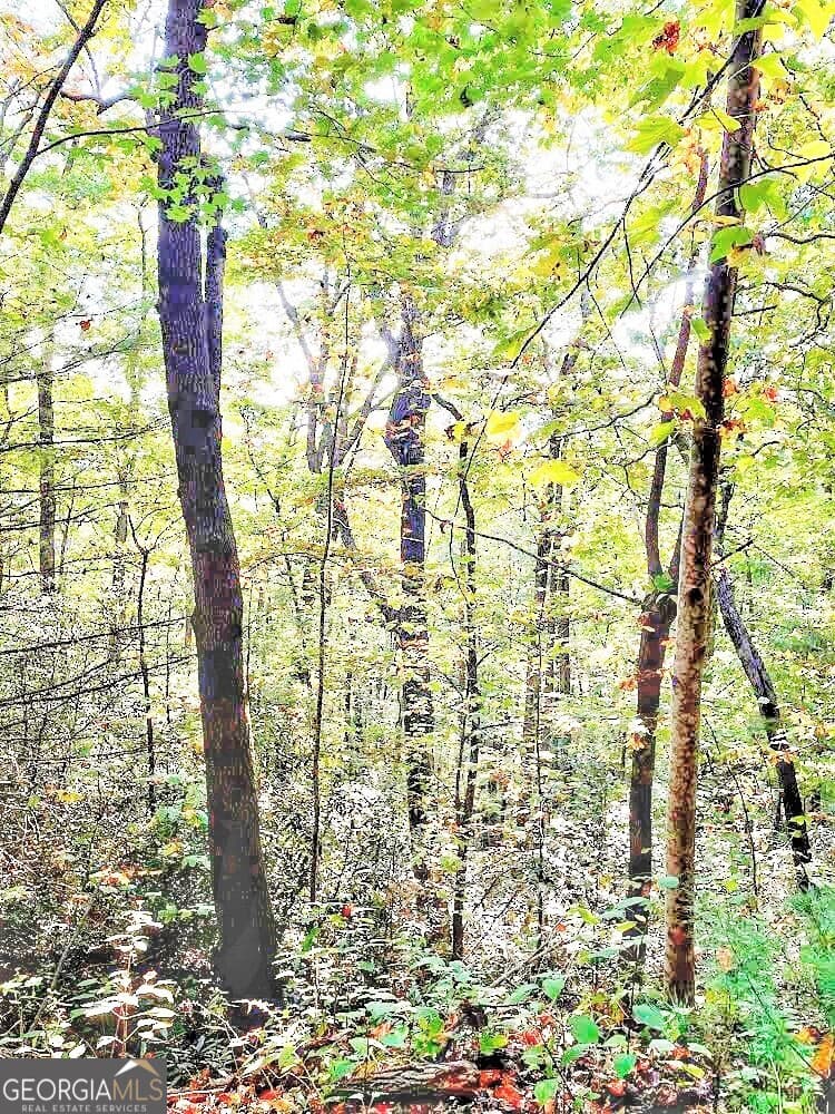 unimproved land for sale at 0 Blue Ridge Gap Road, Rabun Gap, GA 30568 — photo 3