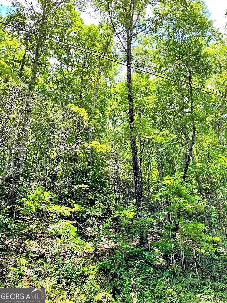 unimproved land for sale at 0 Blue Ridge Gap Road, Rabun Gap, GA 30568 — photo 1 of 11