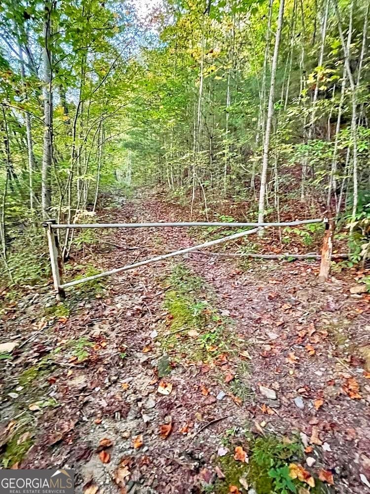unimproved land for sale at 0 Blue Ridge Gap Road, Rabun Gap, GA 30568 — photo 5