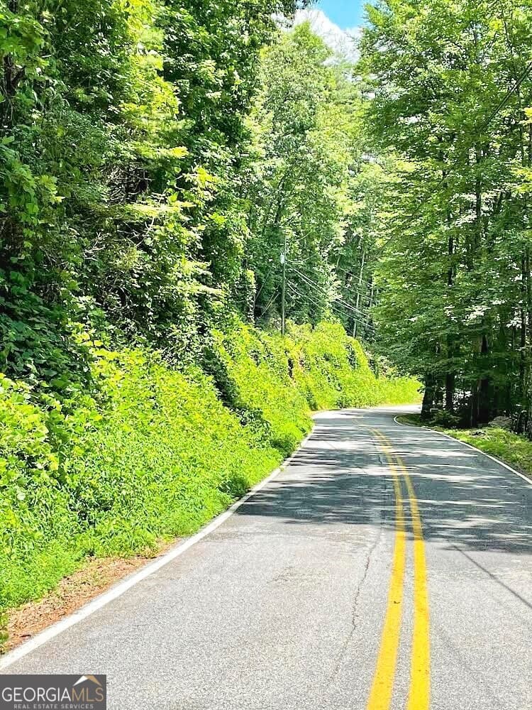 unimproved land for sale at 0 Blue Ridge Gap Road, Rabun Gap, GA 30568 — photo 10